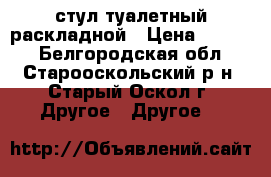 стул туалетный раскладной › Цена ­ 3 000 - Белгородская обл., Старооскольский р-н, Старый Оскол г. Другое » Другое   